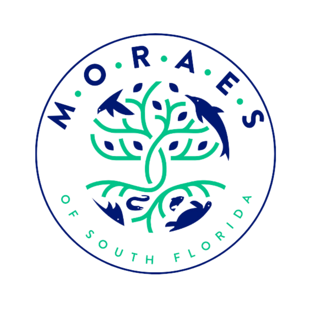 Moraes.png