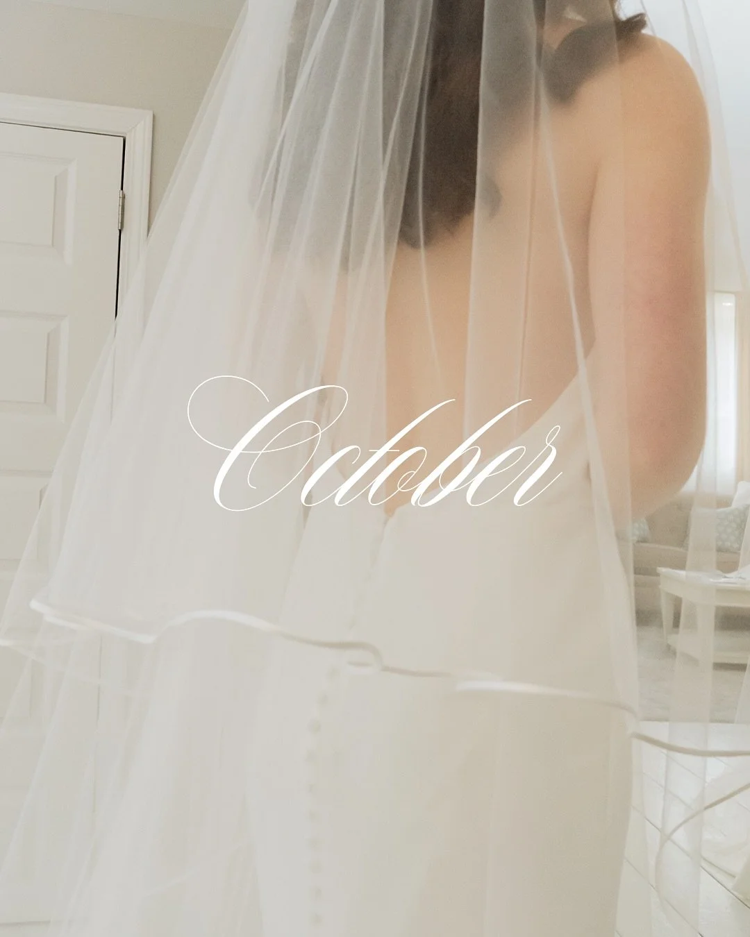 Camera roll favorites from an extra special month 🥂💕

#houseofwhitebridal #bridalstyle #bridalinspo 

House of White is an intimate bridal experience in the heart of Historic Newburgh, Indiana, just outside Evansville. For thirteen years House of W