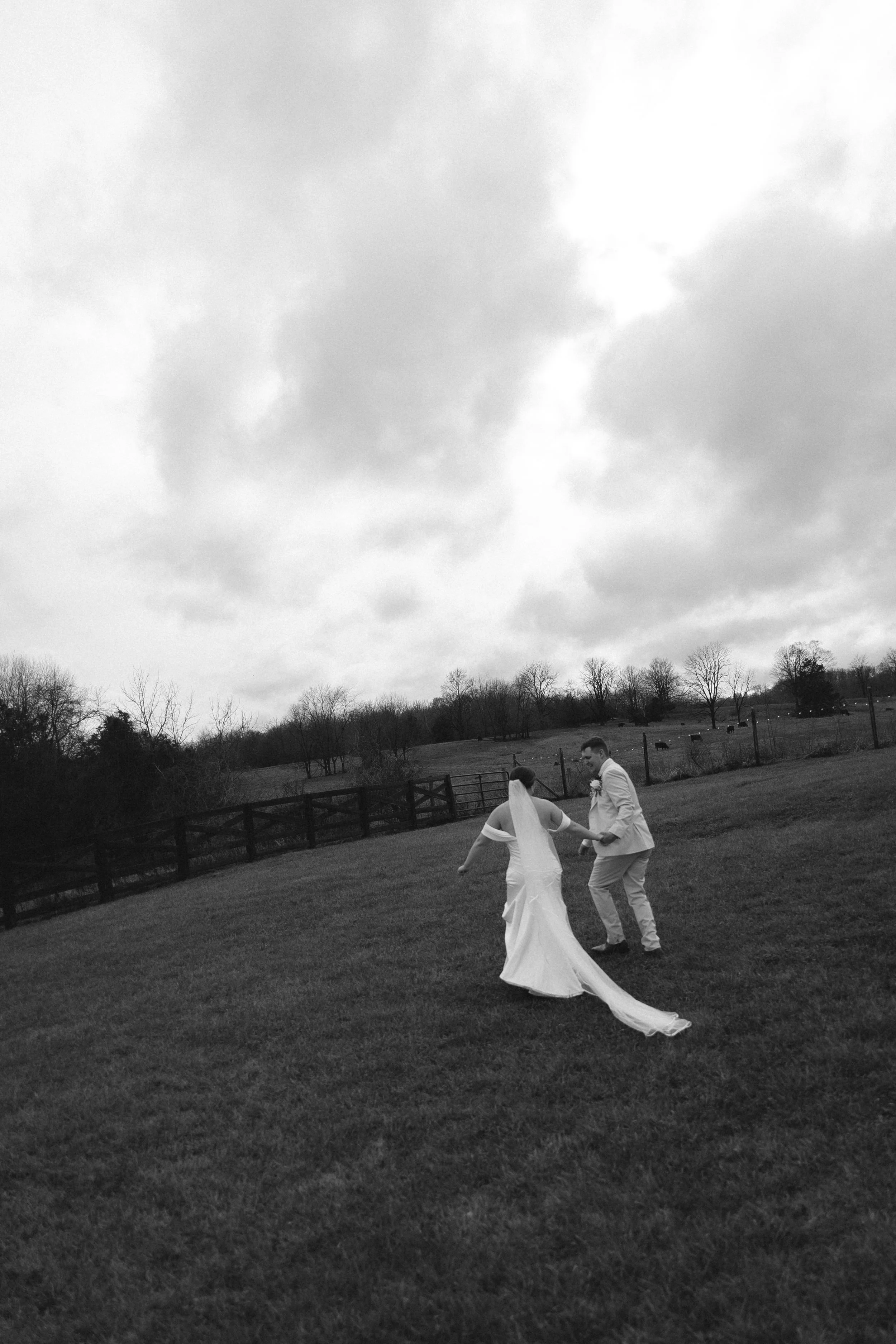 hayzanewed-740.jpg