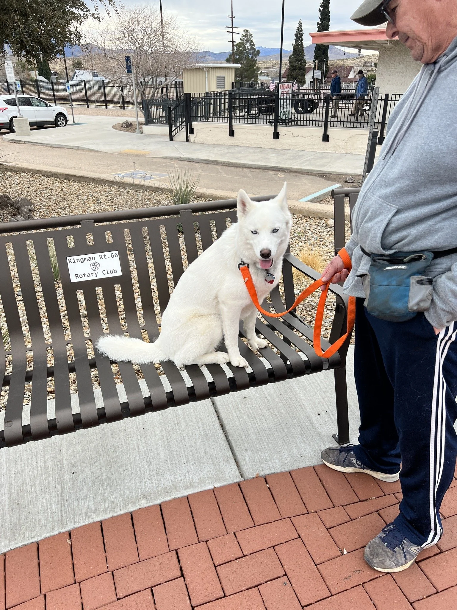 Pawsitive Connection Dog Training Kingman, Arizona