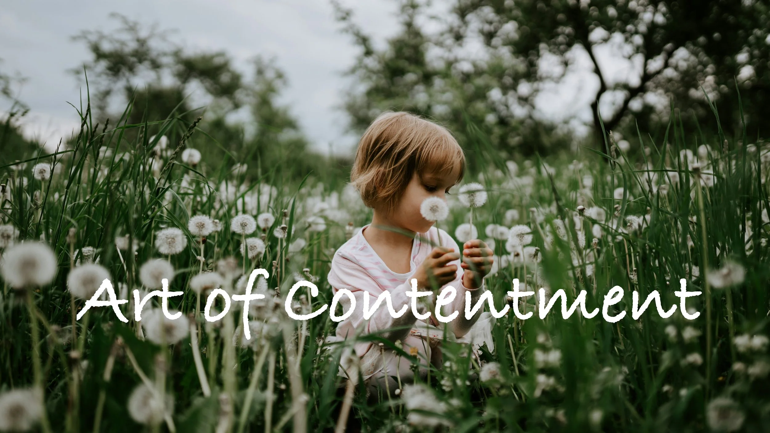 Art of Contentment web link title.jpg