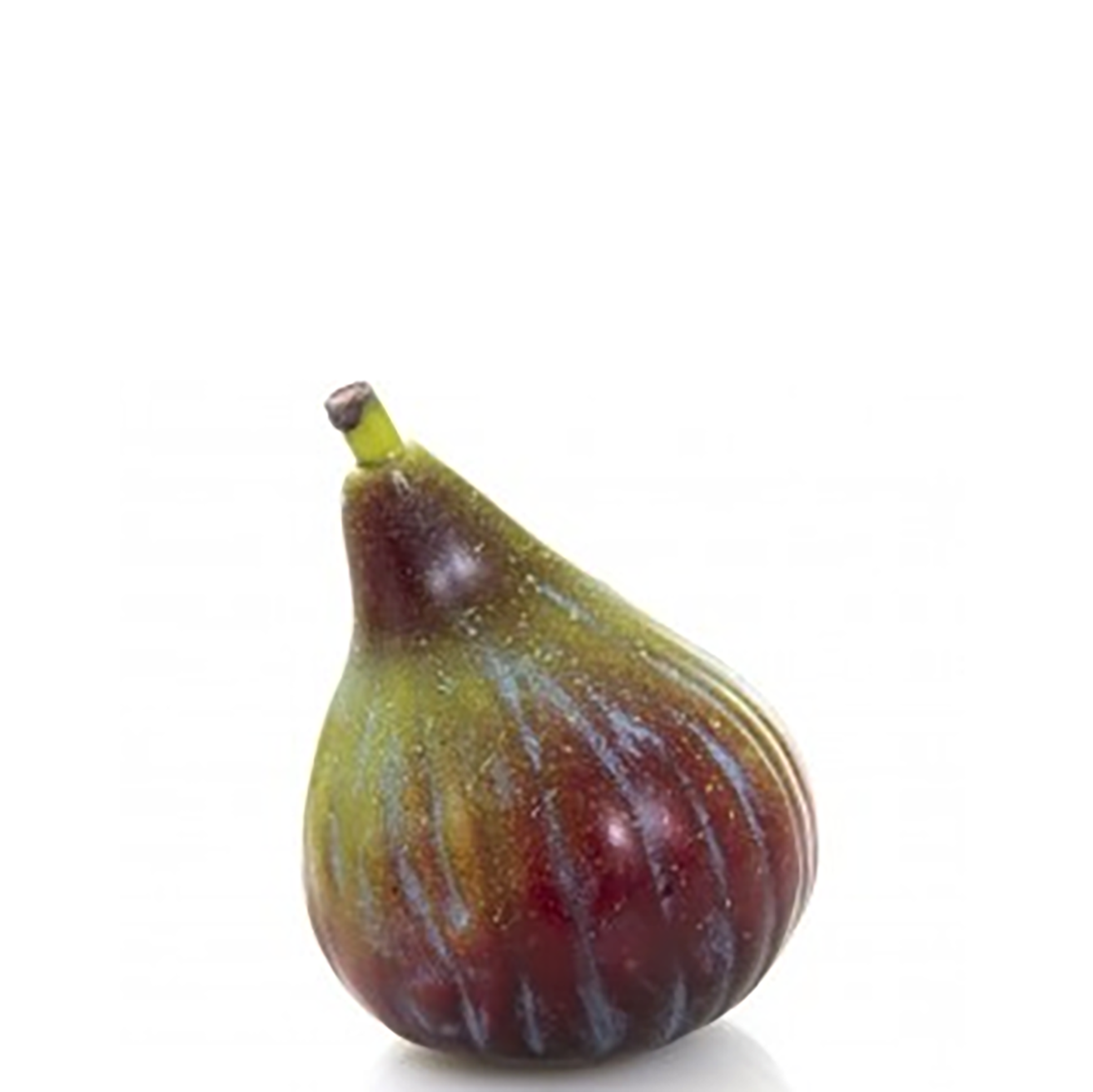 Fig.png