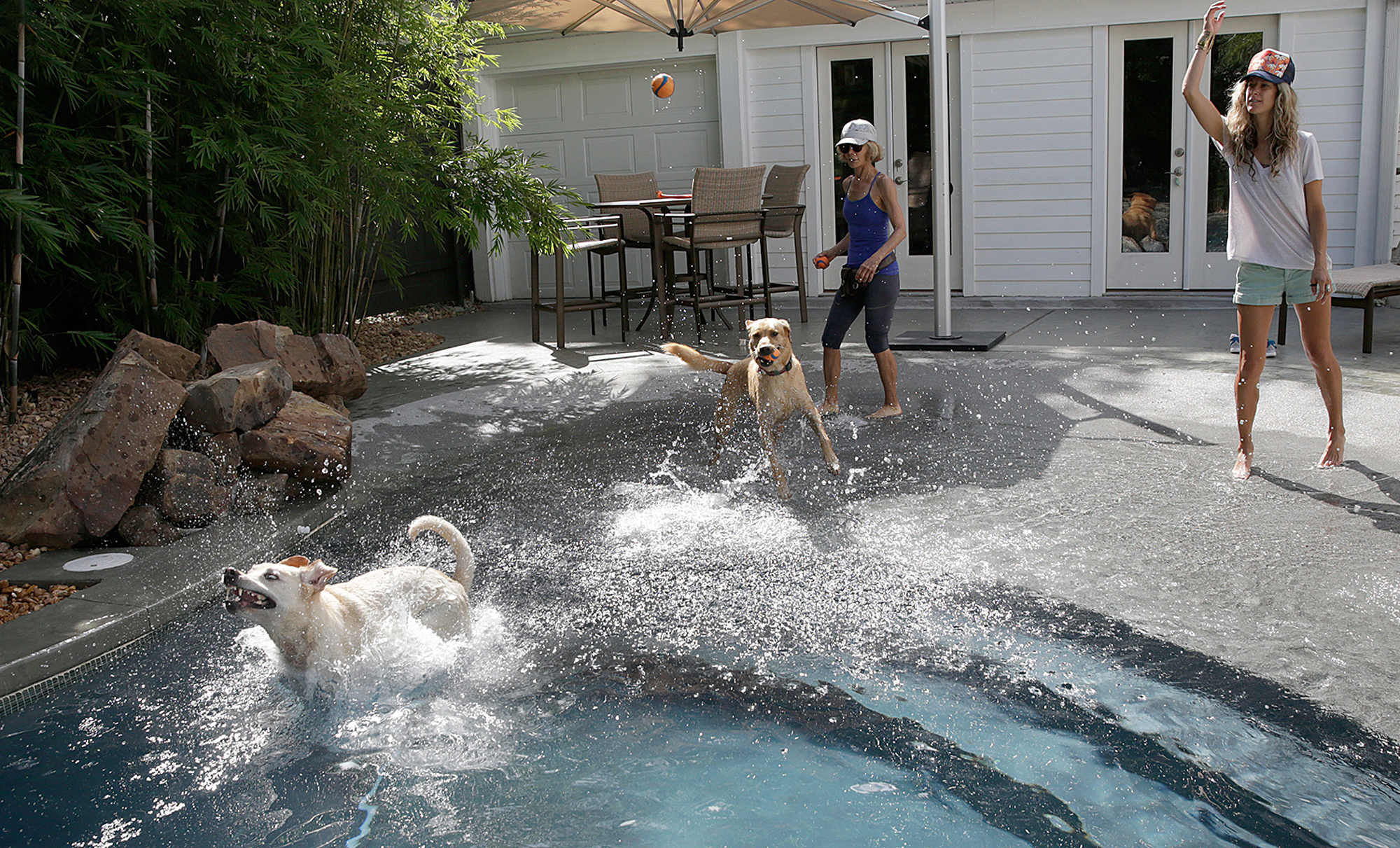 A Pool Designed for Pups