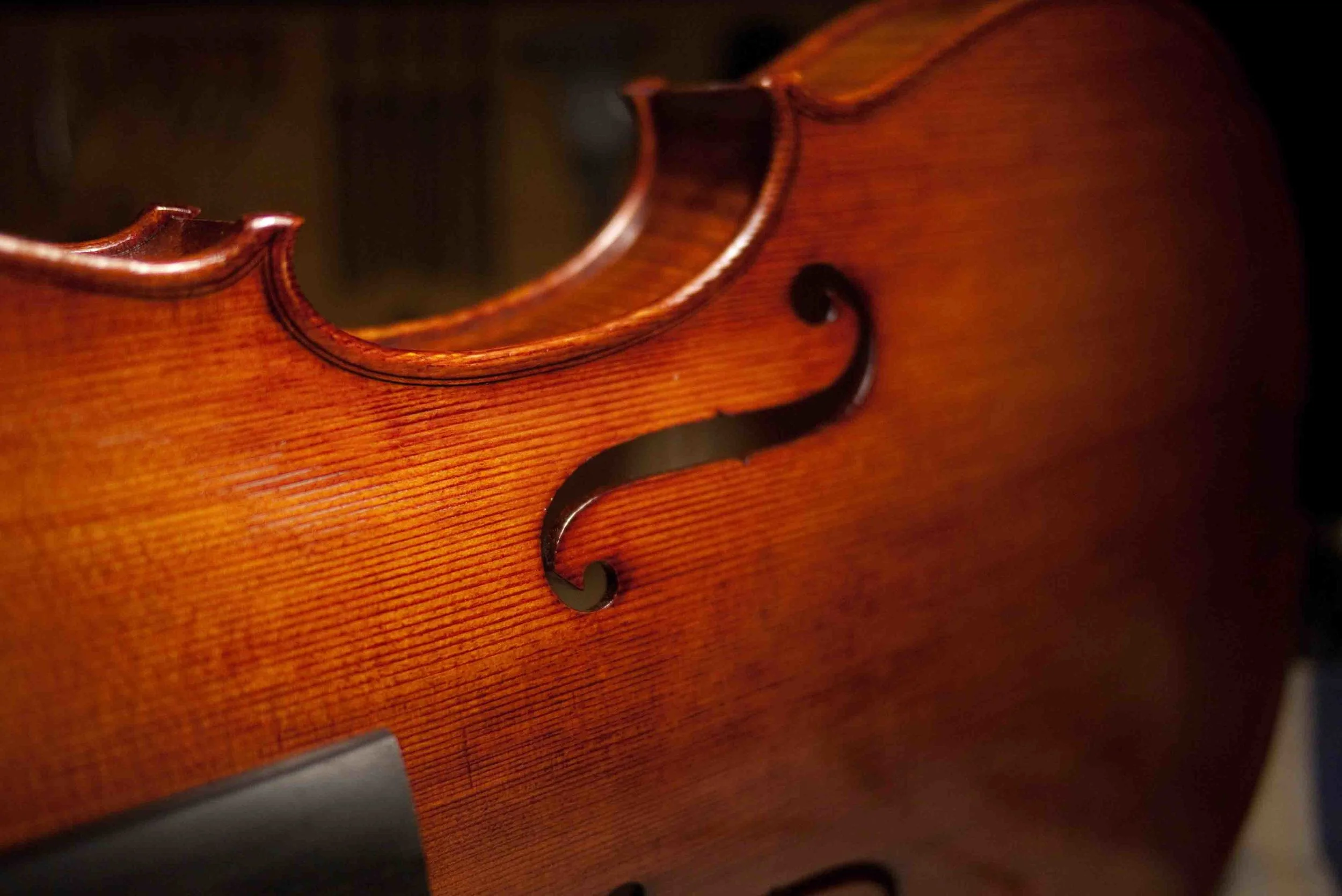 Violas