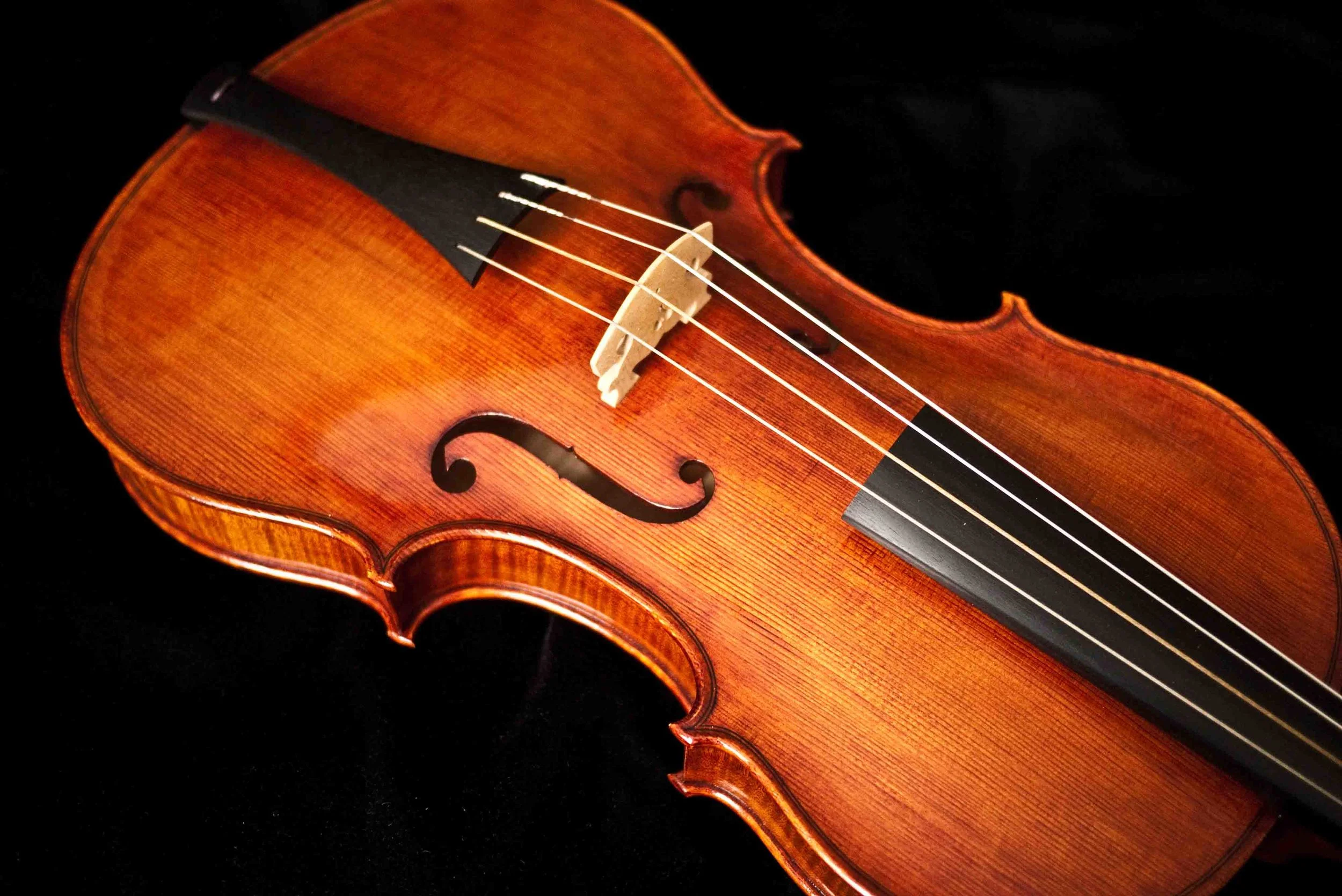 Violins