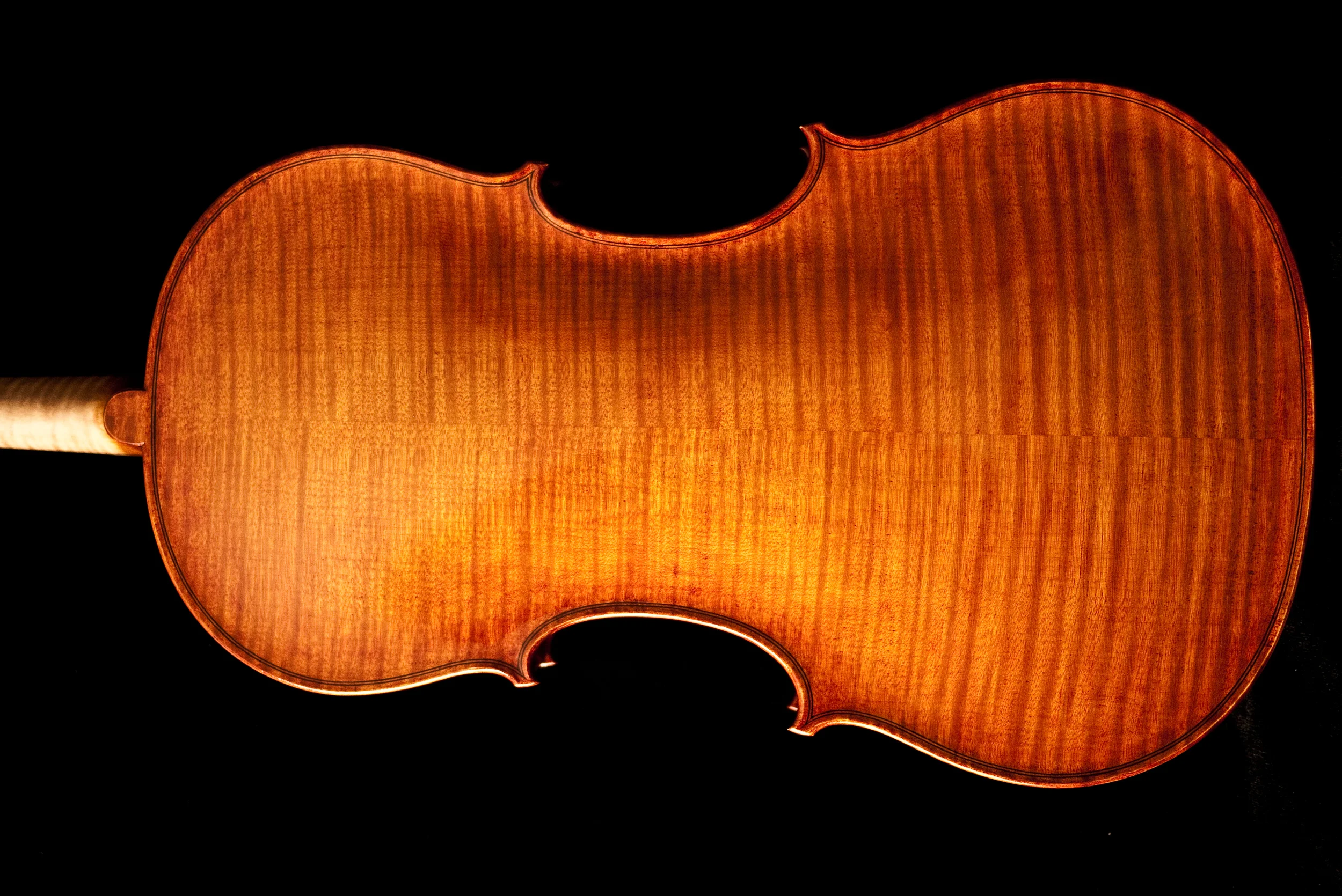 P1050380-1.jpg