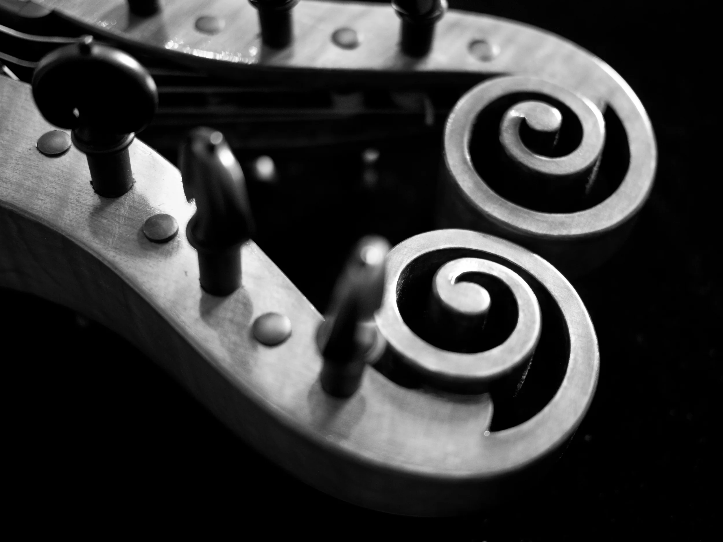 P1080342-1.jpg