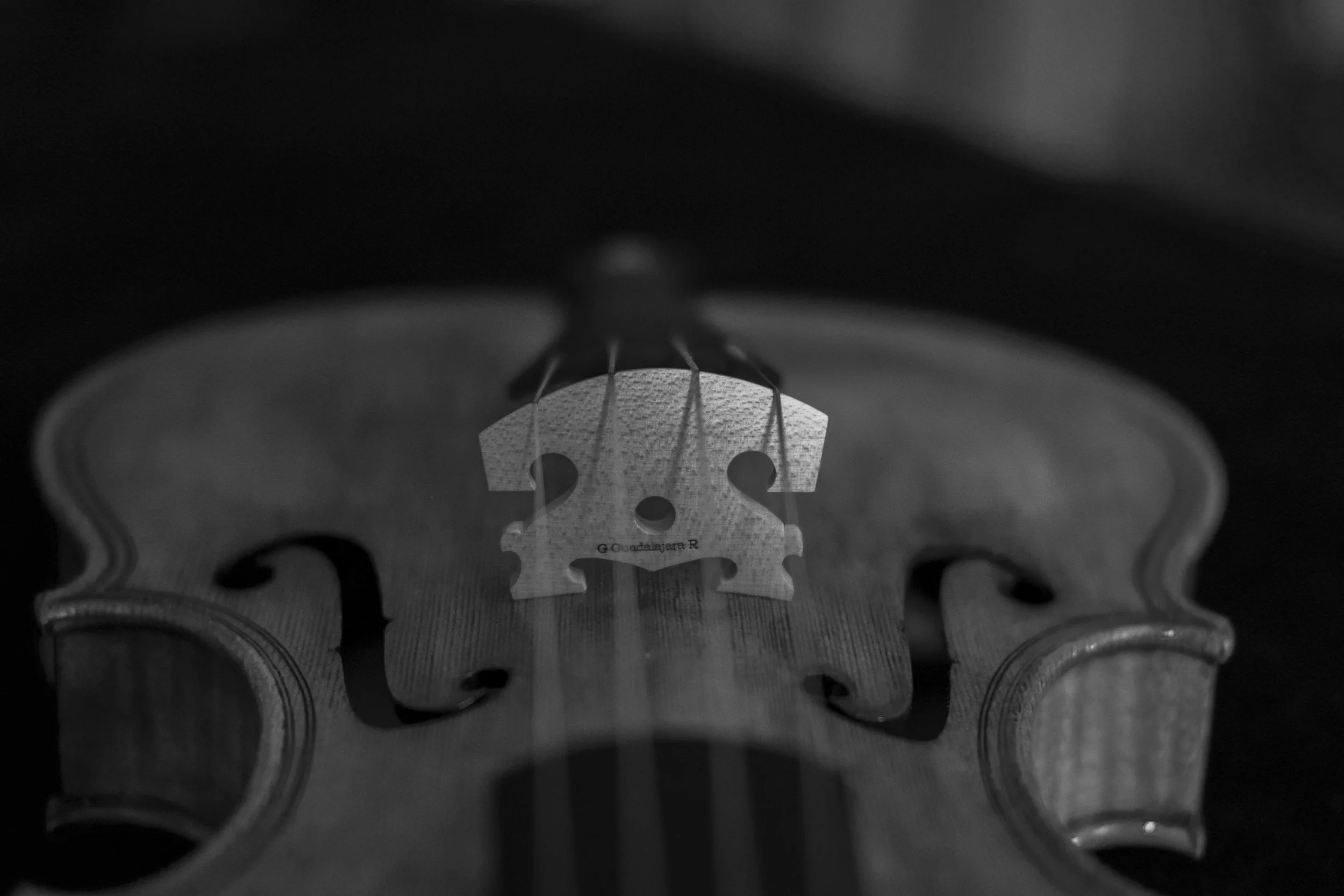 DSCF4033.jpg