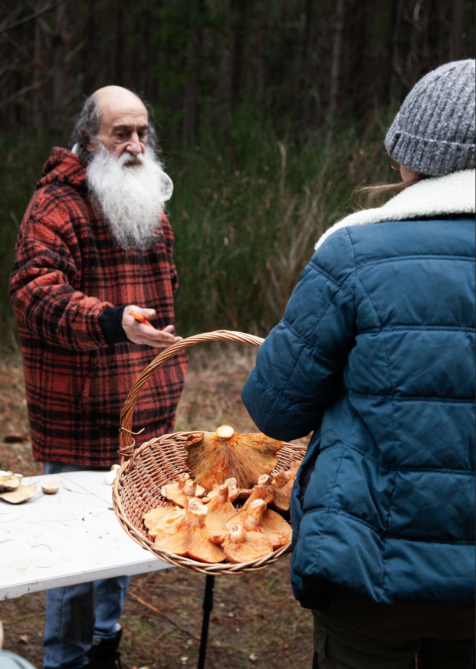 Screen Shot 2024-06-24 at 5.41.16 pm.png