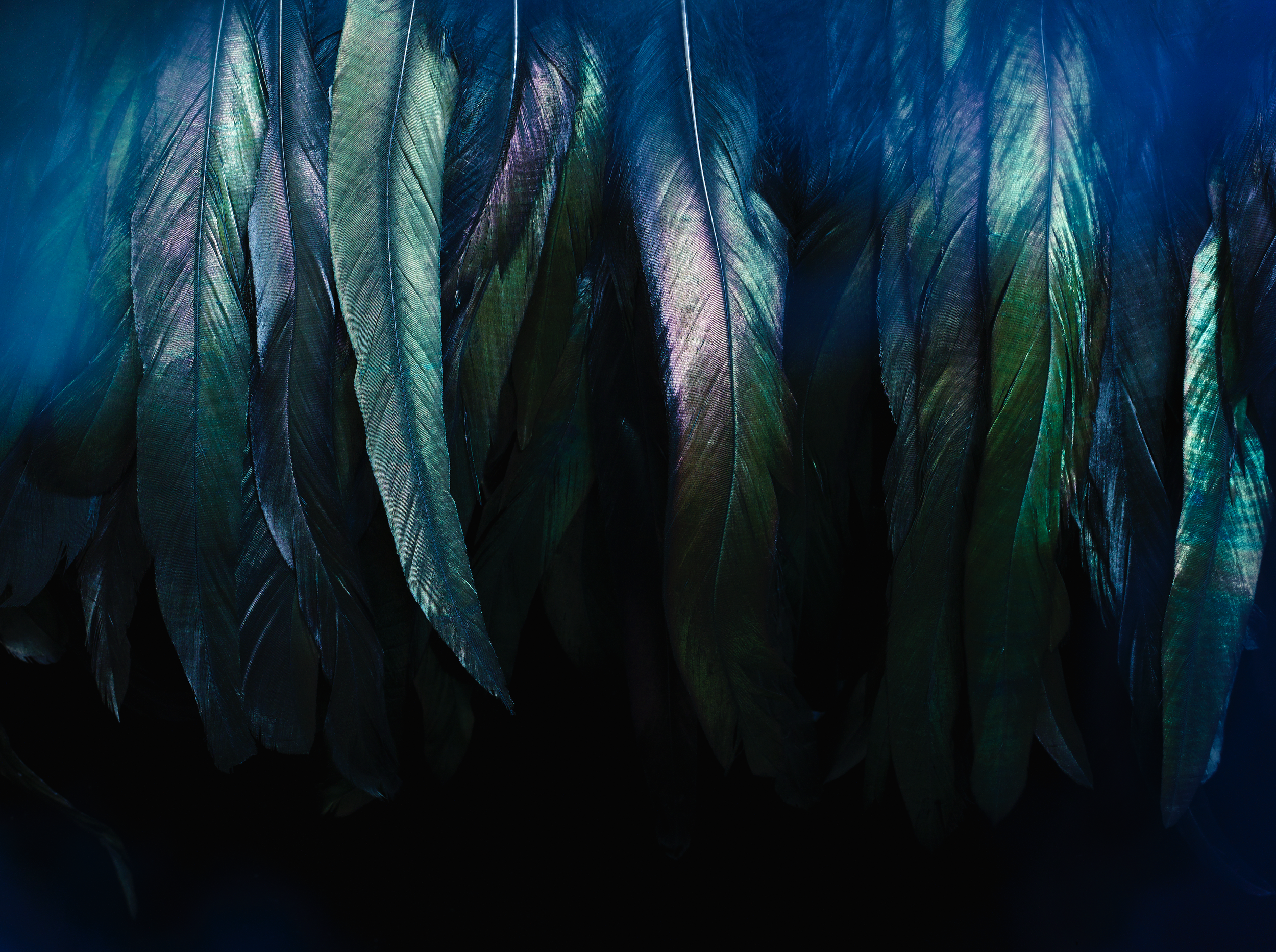 Screen Shot 2024-06-26 at 12.06.10 pm.png