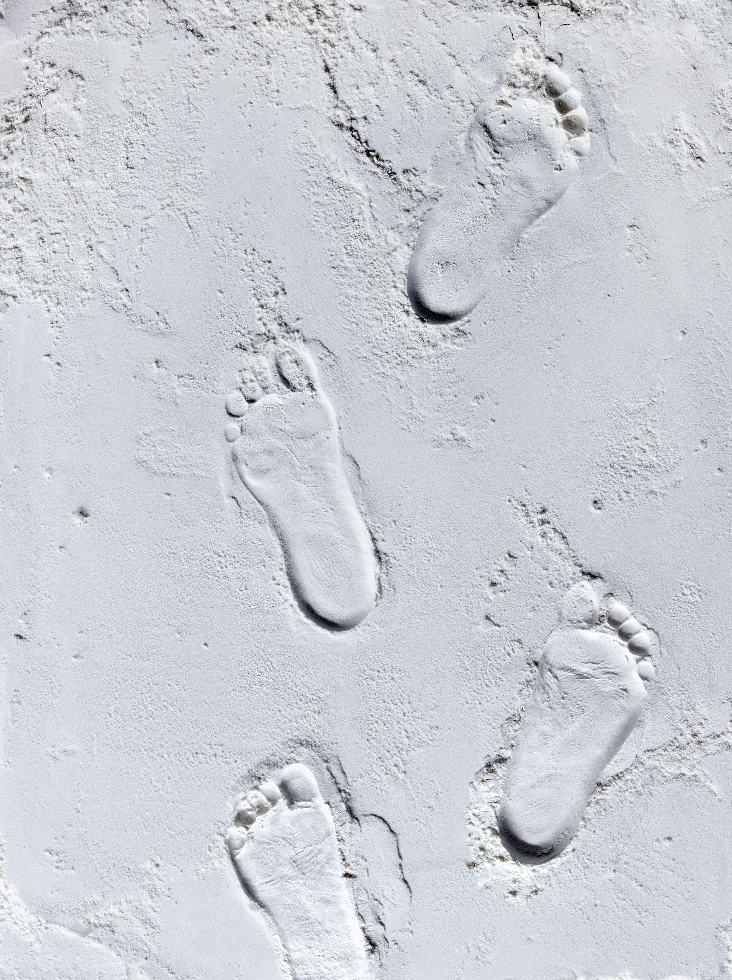 Screen Shot 2024-06-26 at 12.09.11 pm.png