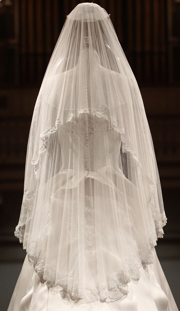 CM Veil.png