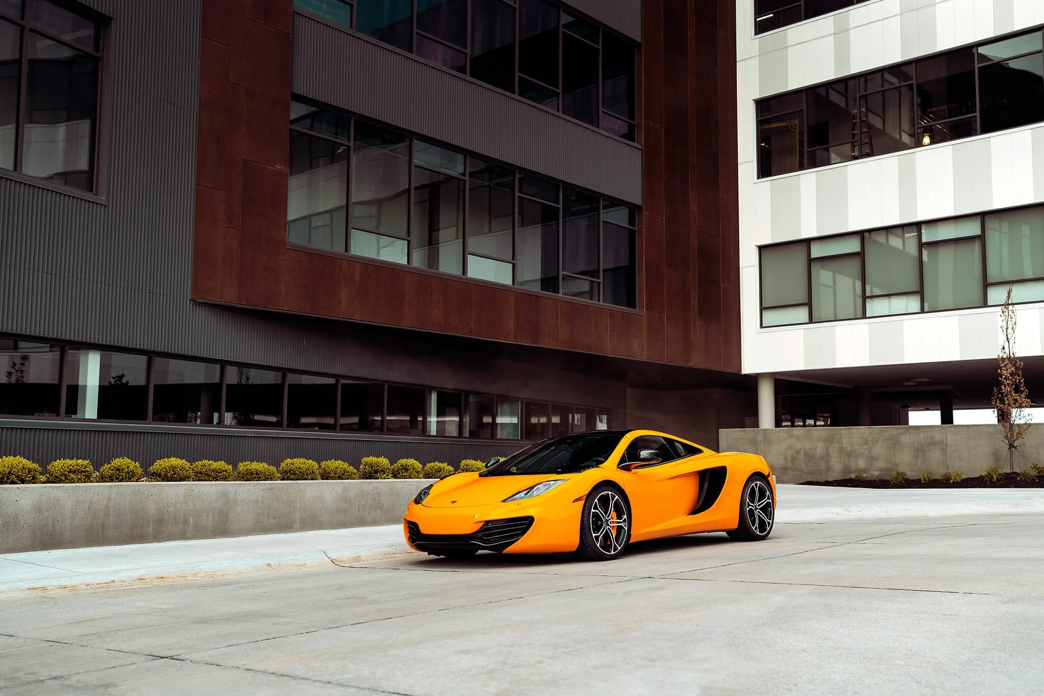 Max12C-1.jpg