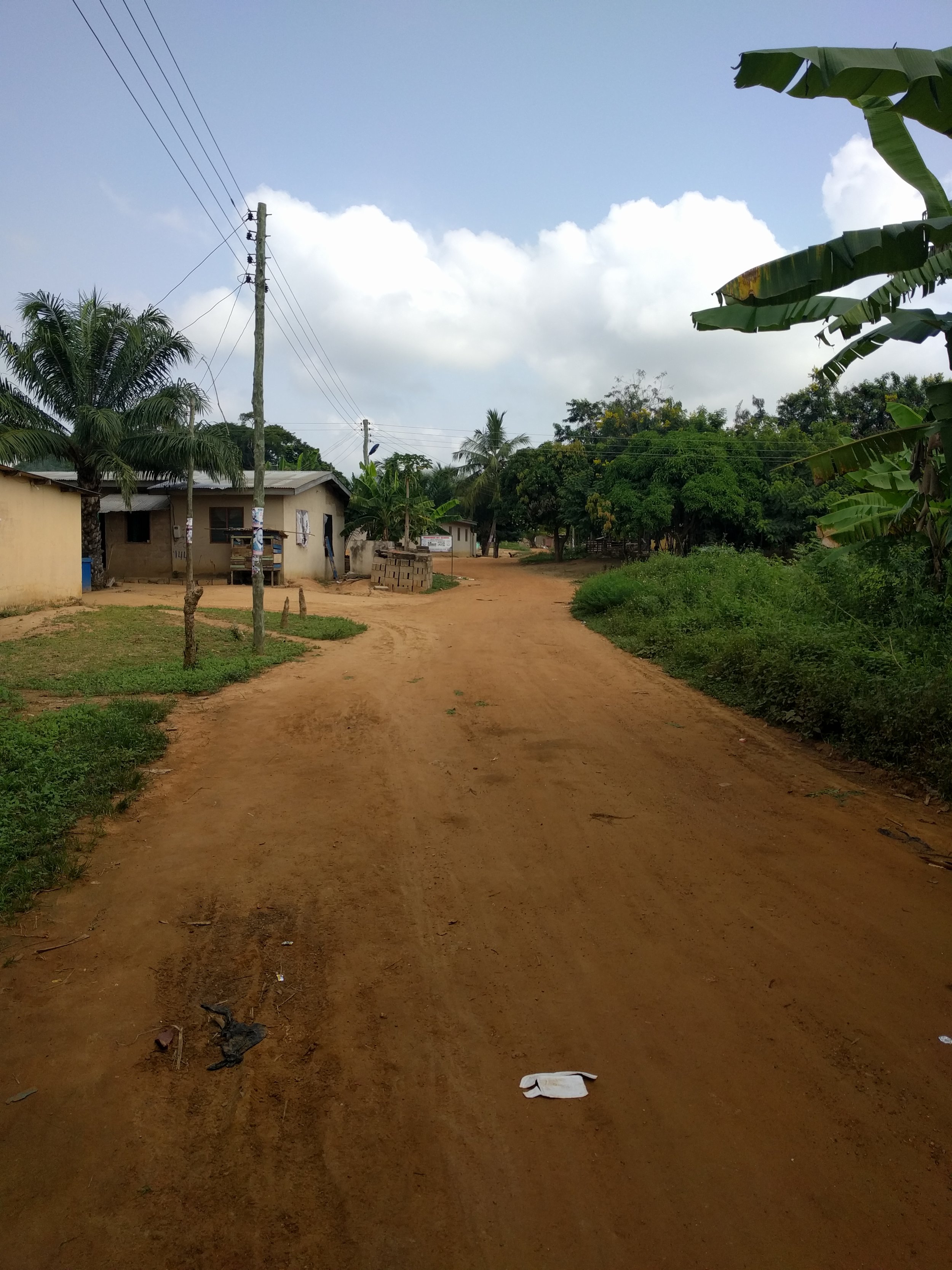 Road by my House