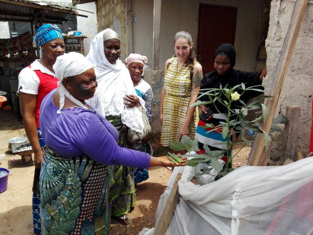 Touring Nima's urban gardens