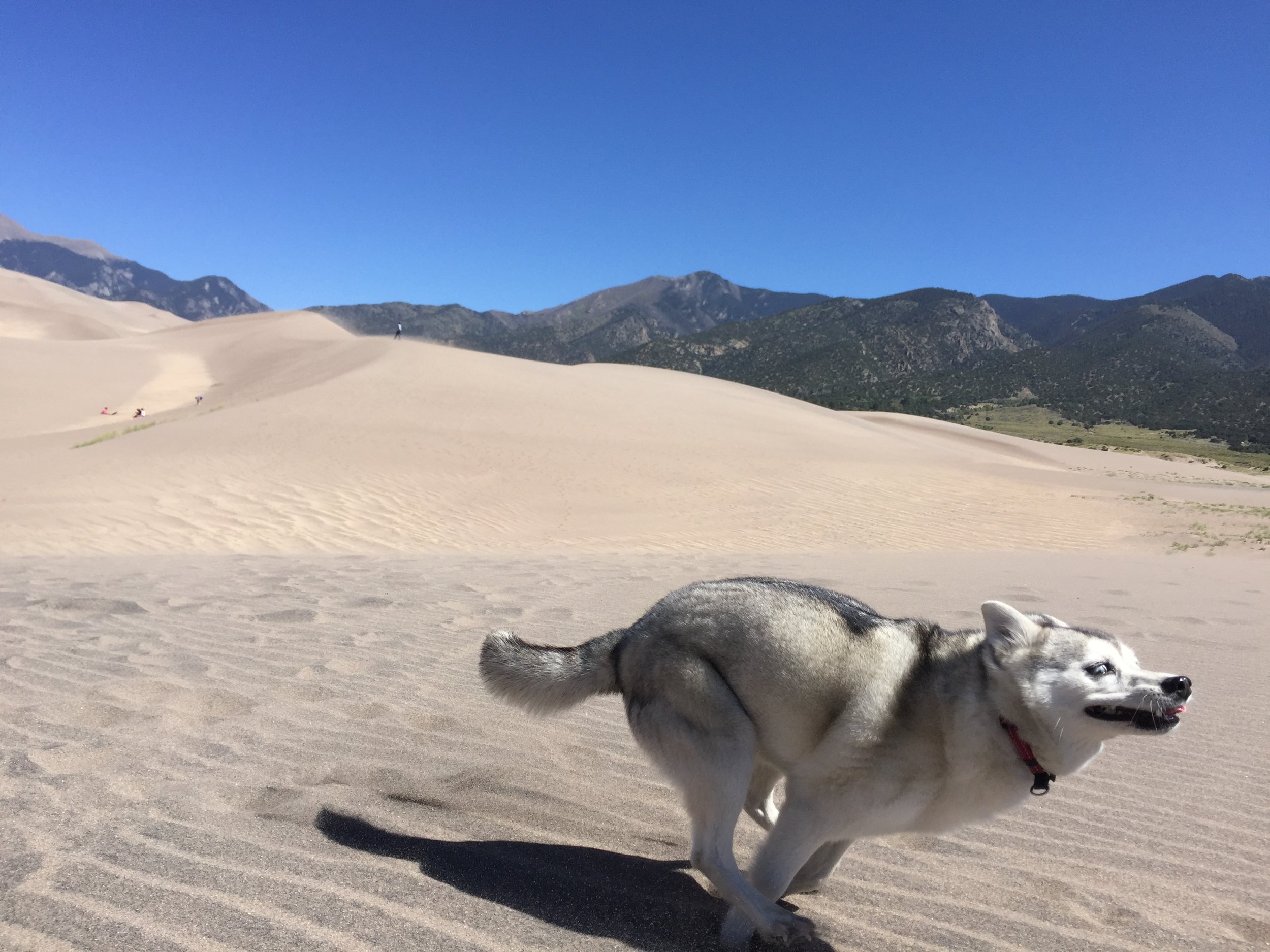 shes a nerd for sand and snow