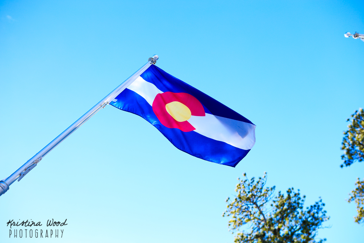 Colorado State Flag