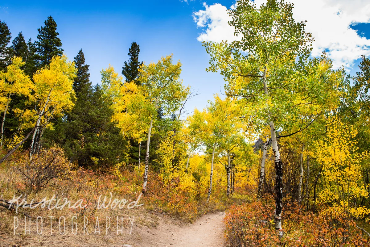 16Septemberfernlake049-Edit-Edit.jpg