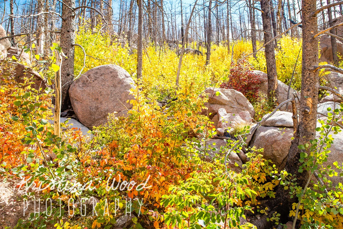 16Septemberfernlake042-Edit-colorboost.jpg