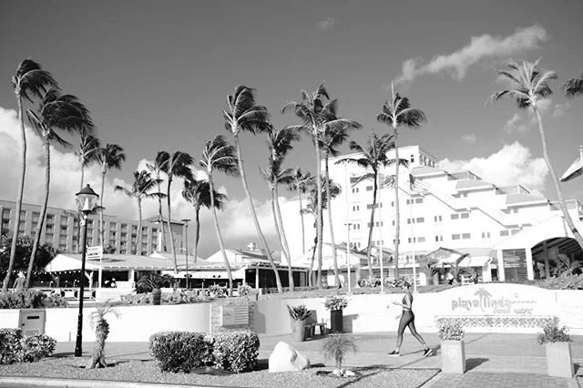 Camera: FujiFilm XT-3
Lens: FujiFilm XF23mmF2 R WR
1/1000sec F3.6ISO 160
Film simulation: applied in Lightroom mobile ACROS +R
Aruba

Thanks in advanced for all your likes and comments!

#personalwork 
#smeerob
#smeestreet

Light
#chasinglight #natur