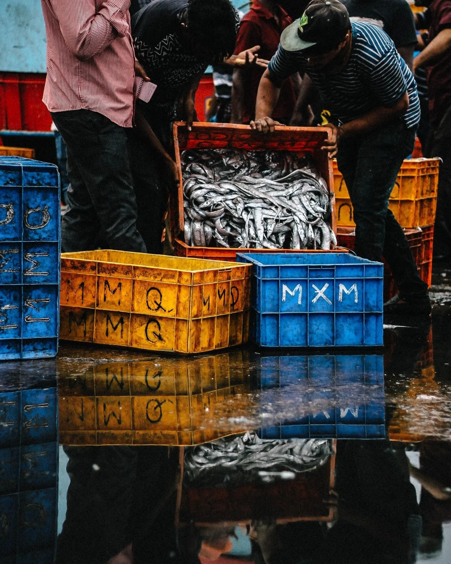 Southeast Asian Fish, Fishermen, and Human Trafficking