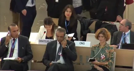 Participants attending a live UN Human Rights Council session.