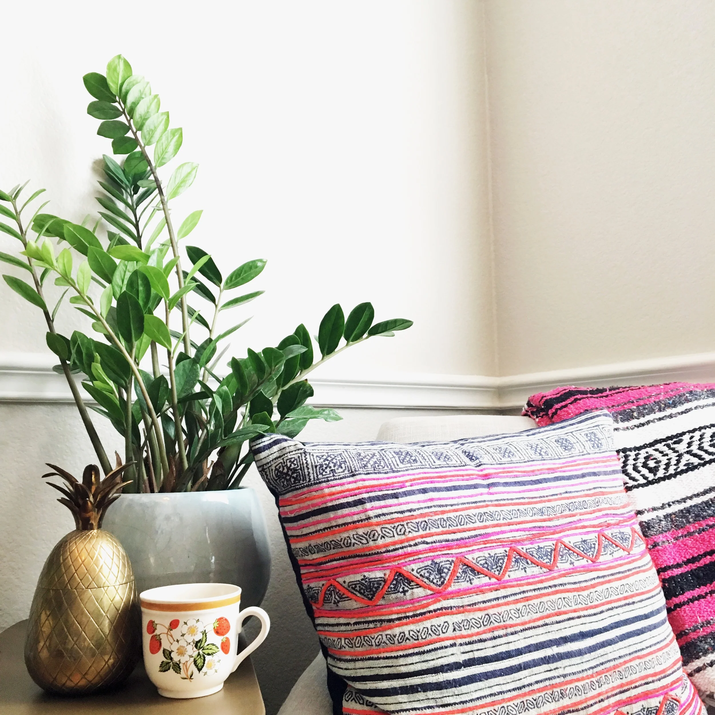 The ZZ plant is one of the best plants to keep alive indoors.