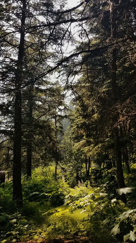 2019-07-09 04_opt.jpg