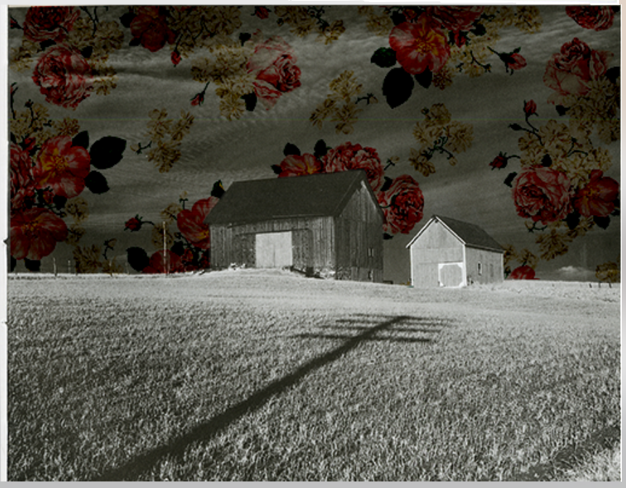 Screen+Shot+2016-10-07+at+7.56.13+PM.png