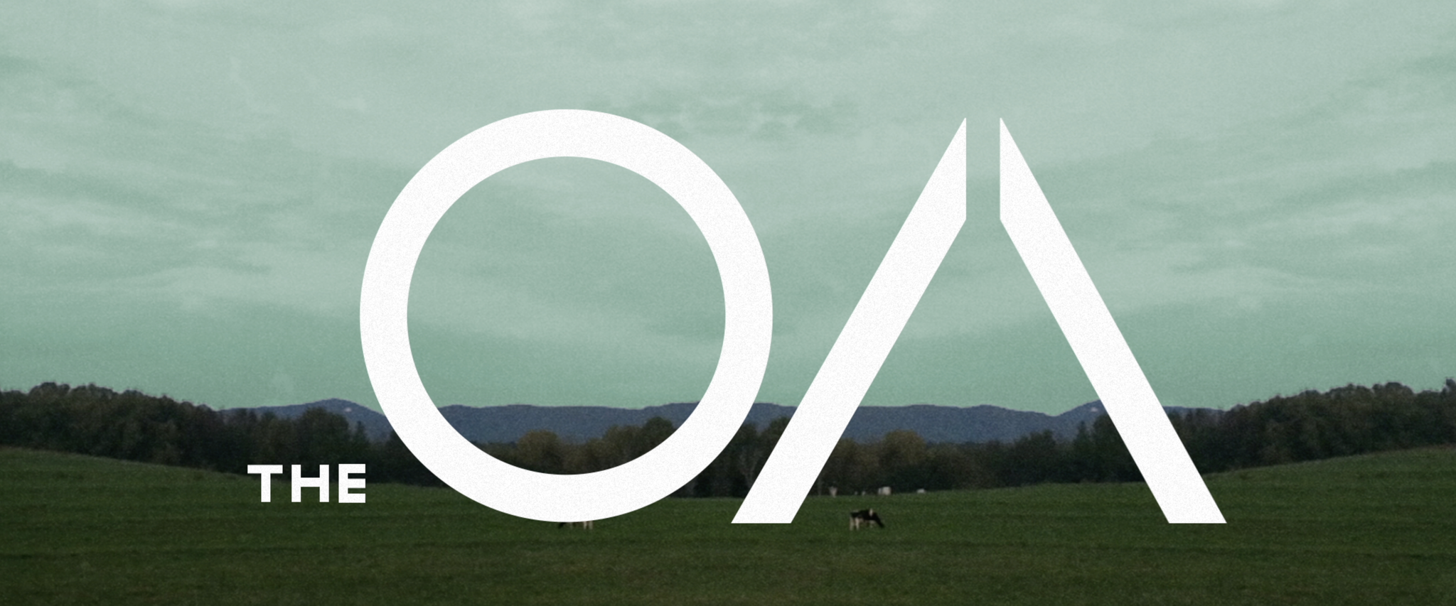 The OA Title Sequence — DELANEY TRIONE