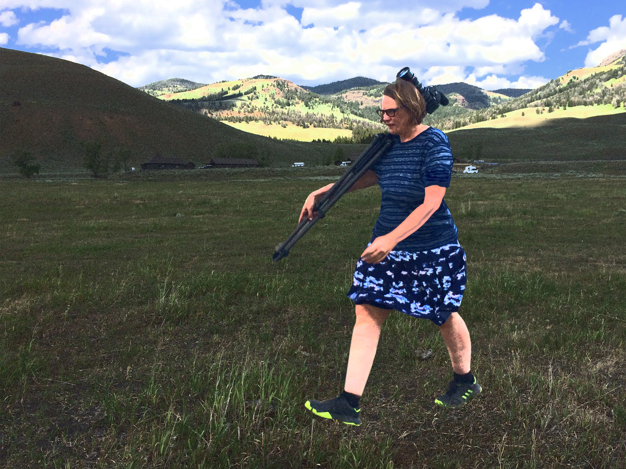  Hunting Buffalo in the Lamar Valley, Yellowstone National Park. Filtered photograph/artist's rendering, 2016, Erin L. FitzGerald. 