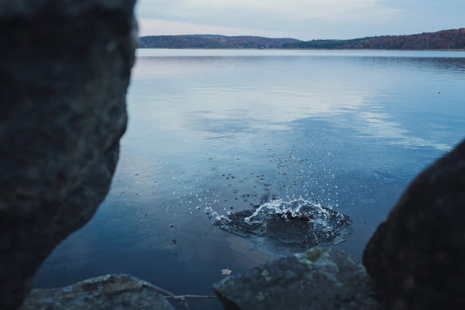 WebPortfolio_N07A9045.jpg