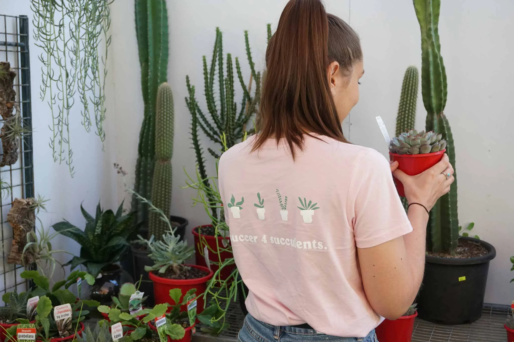 succer4succs3.jpg