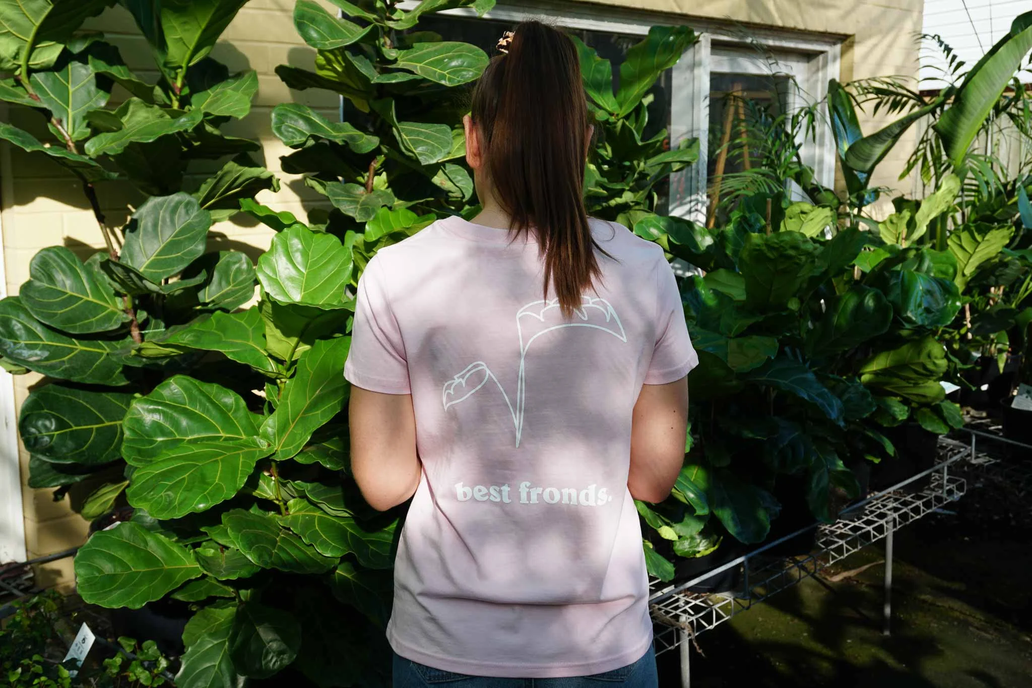 frondspink1.jpg