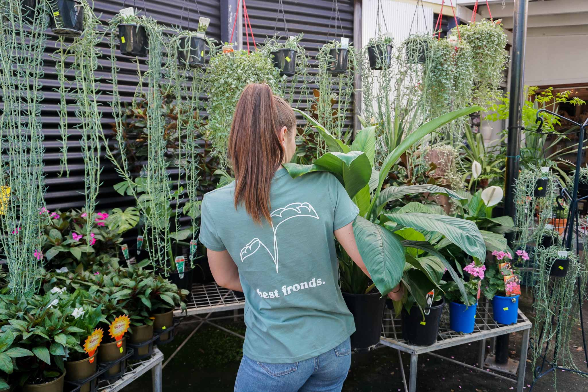 Cottage Garden Nursery Brisbane S Favourite Plant Nursery