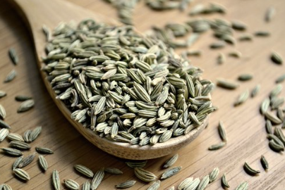 Capture d’écran, le 2021-03-01 à 09.46.19.png