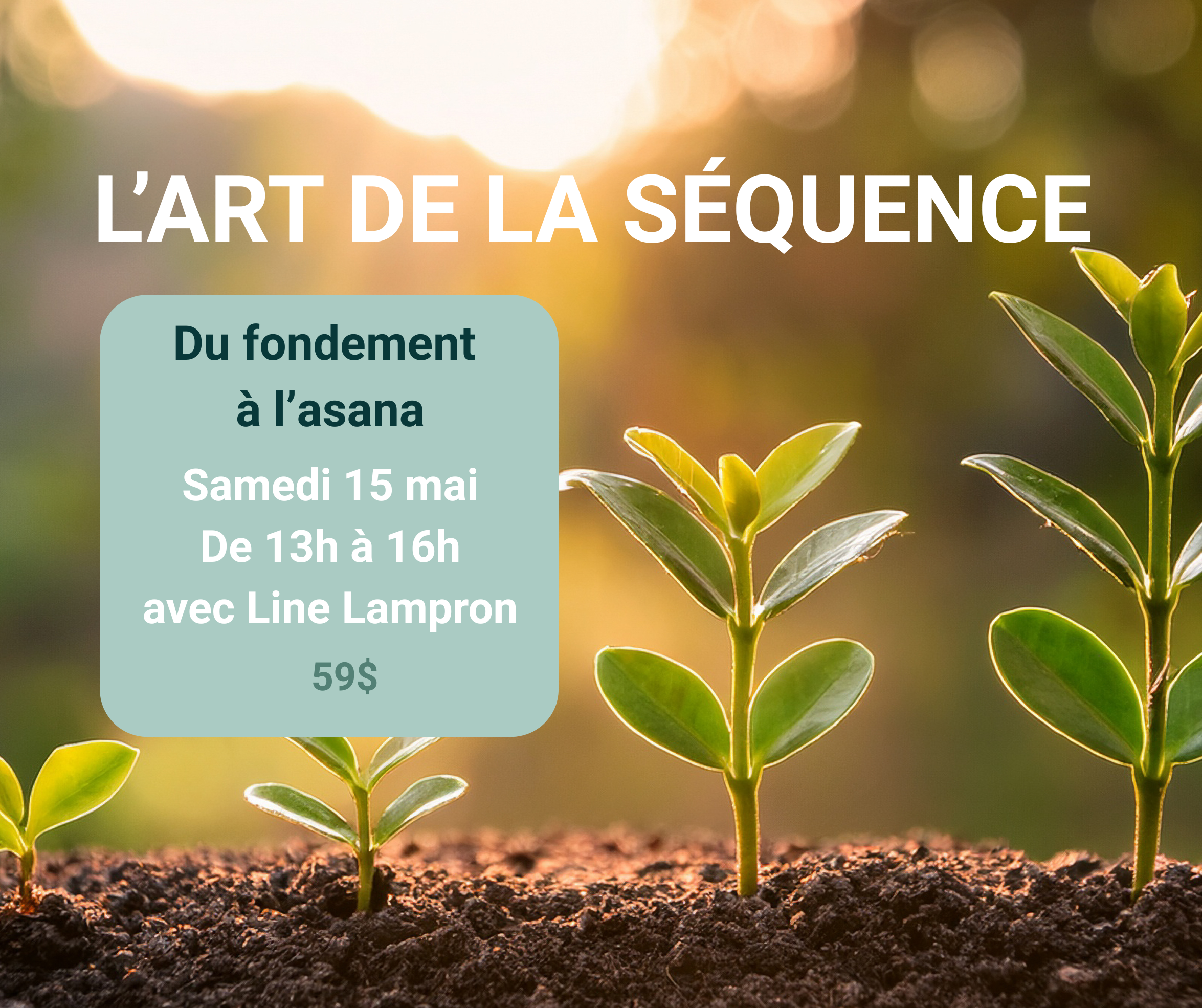L'art de la sequence (1).png