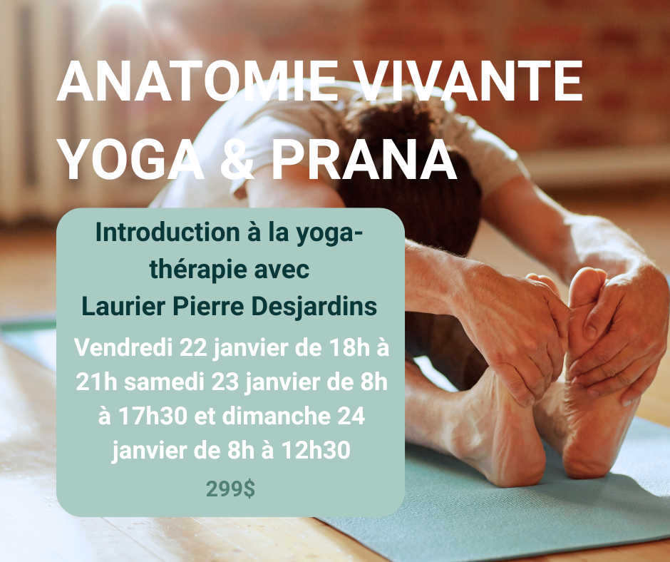 Anatomie vivante.png
