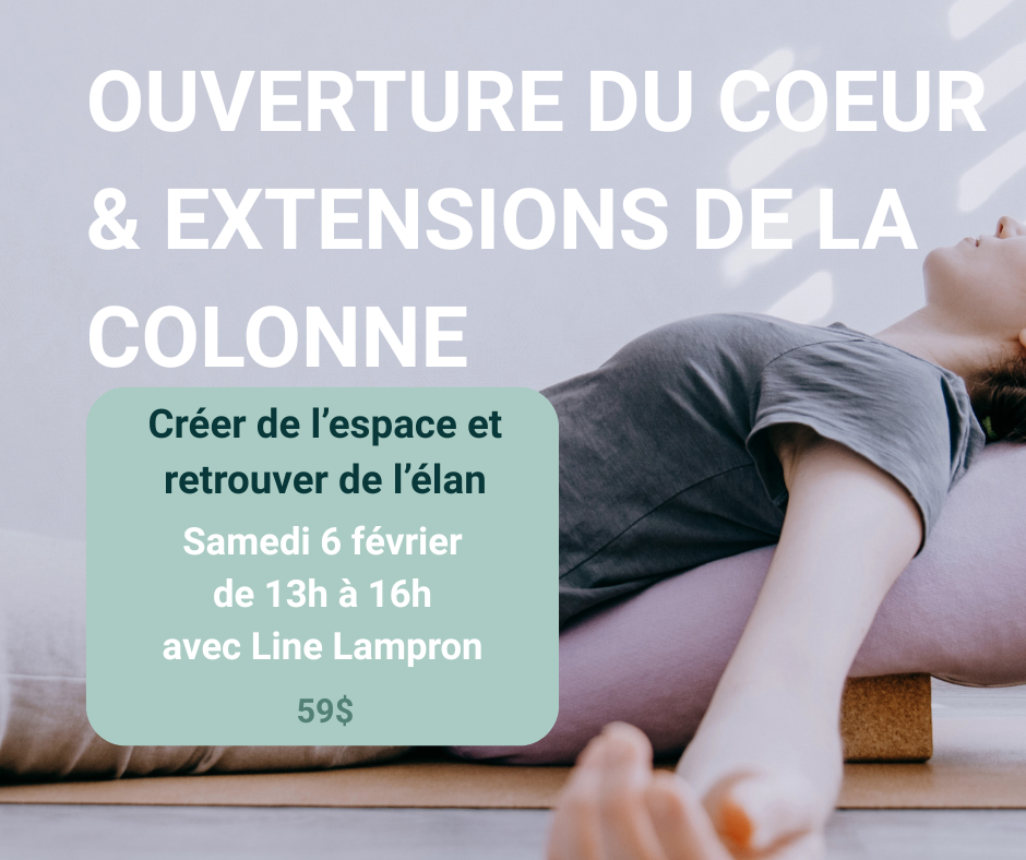 Extensions de la colonne (2).png