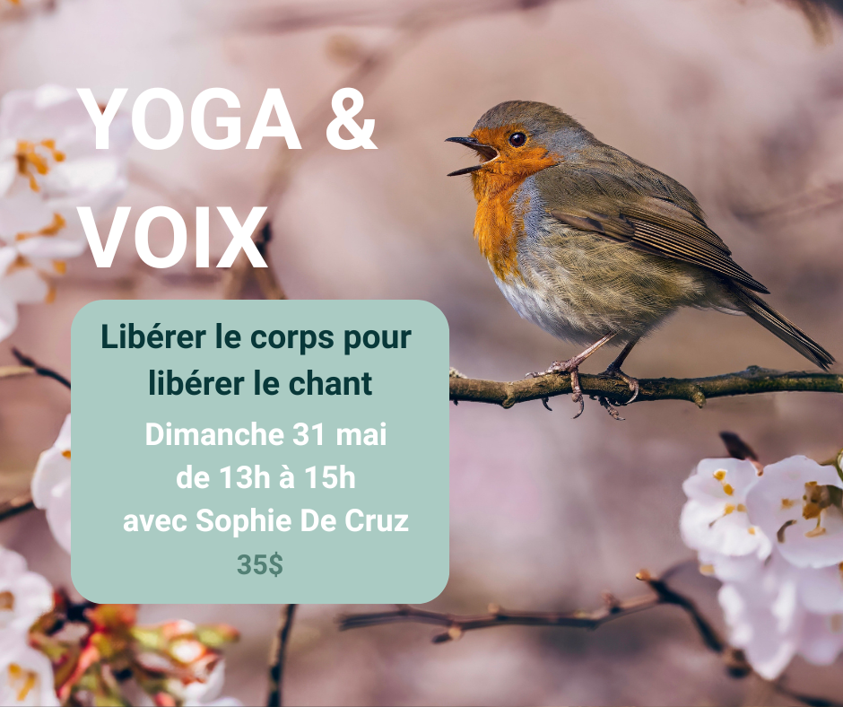 Yoga&Voix.png