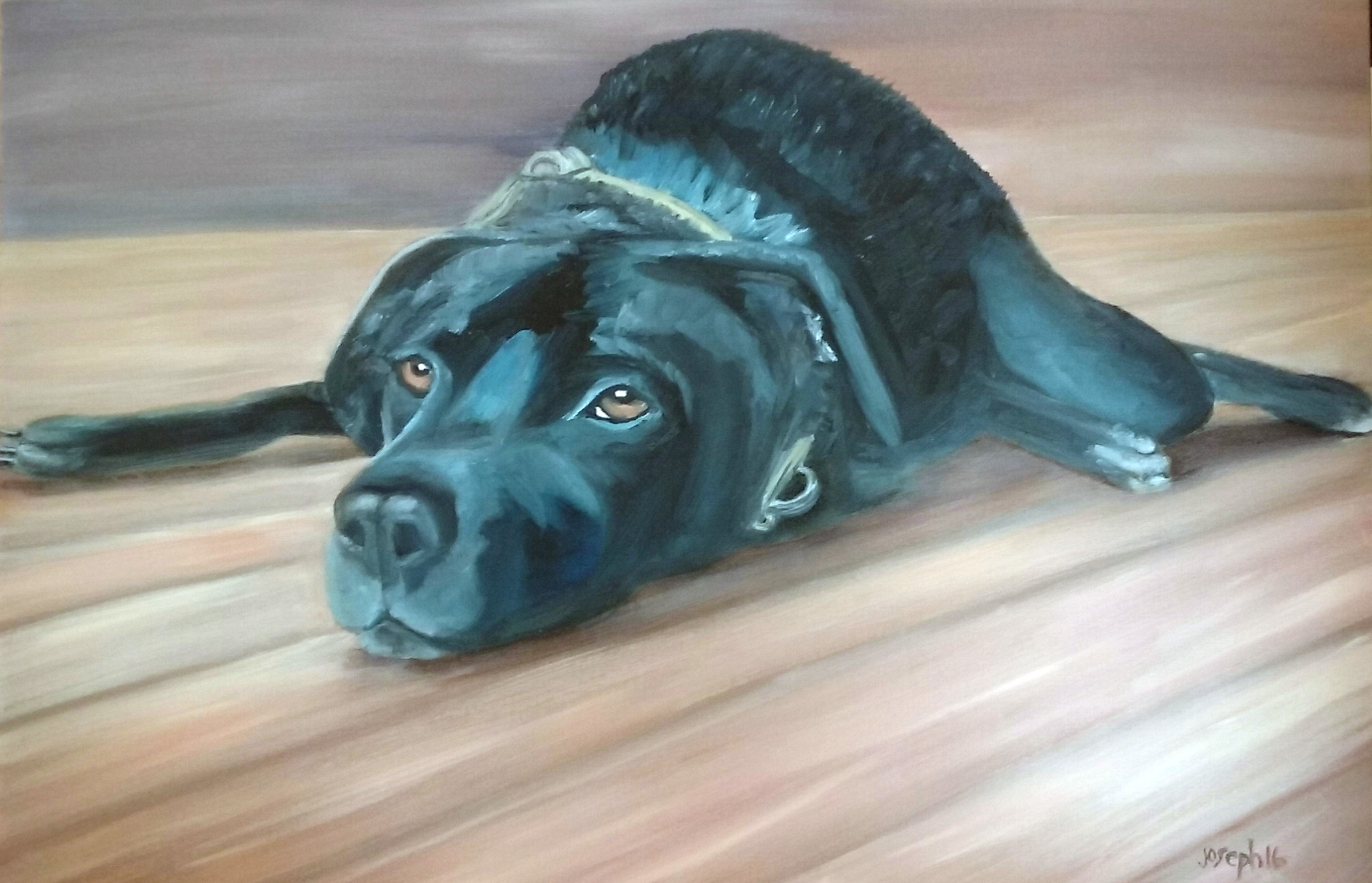 sammie.jpg