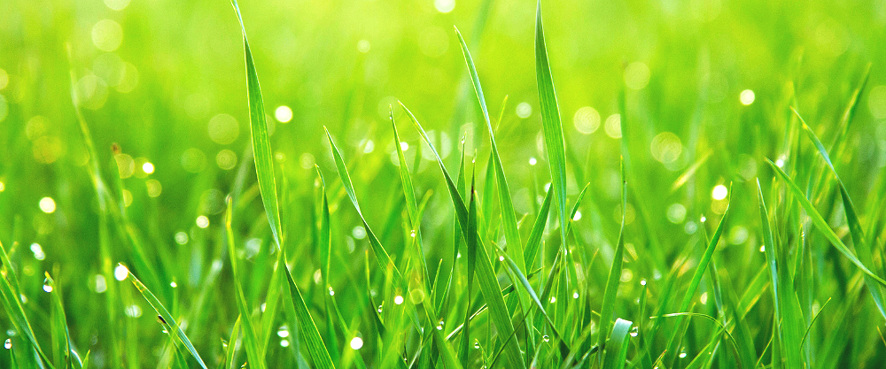 Untitled design (7).png