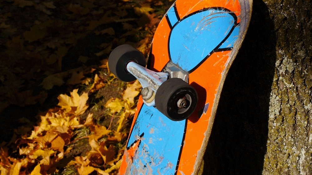 2-wheel-1000.gif