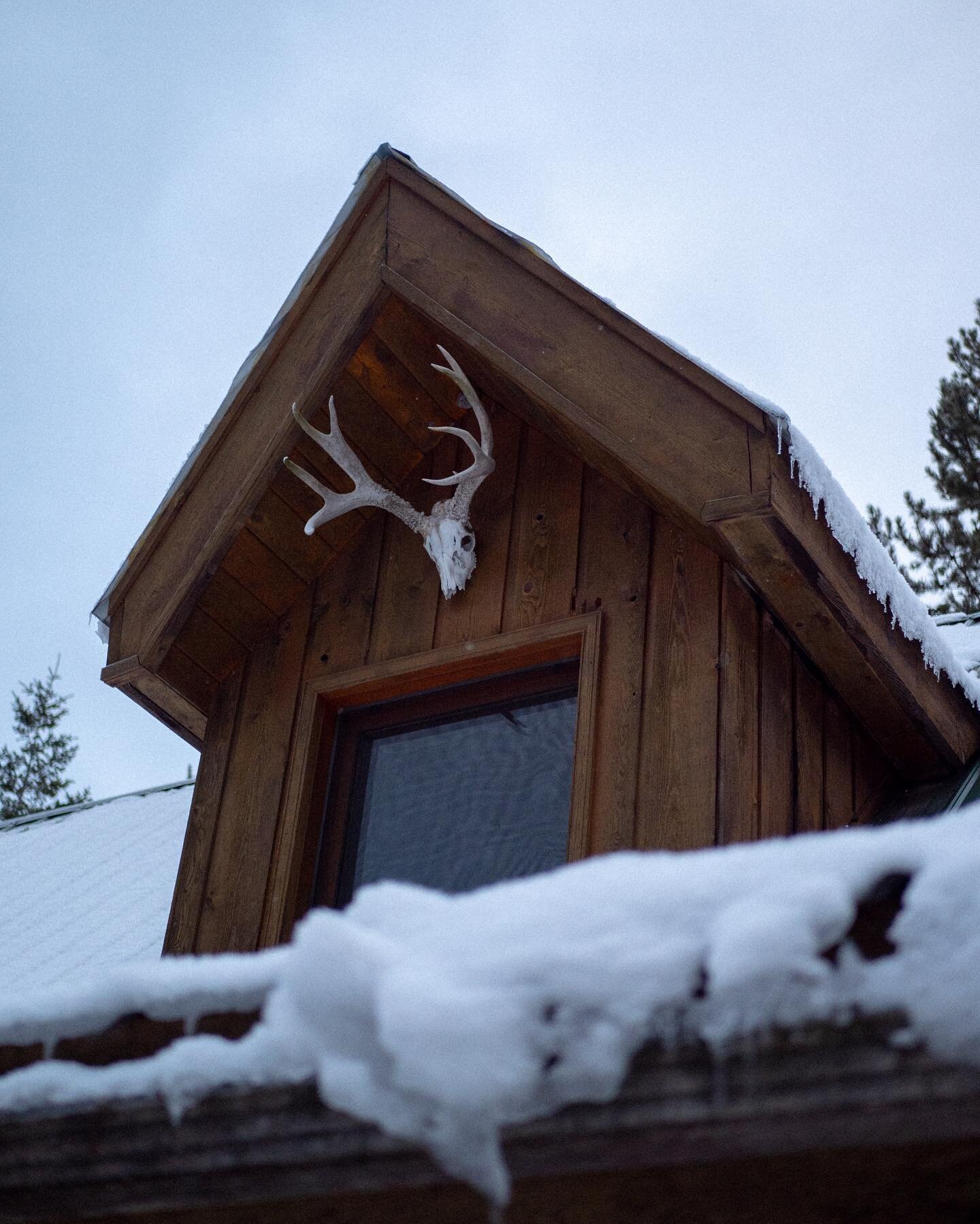 Quite the writer&rsquo;s nook at @tin_poppy 📖 ⌨️ 💀 ❄️ #offgrid #writing #disconnect #lumix #m43 #explorebc #britishcolumbia #photography #cabinlife #cabin