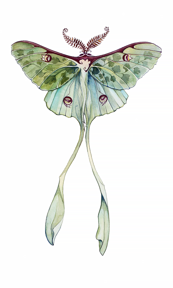 Maidenhairluna.png