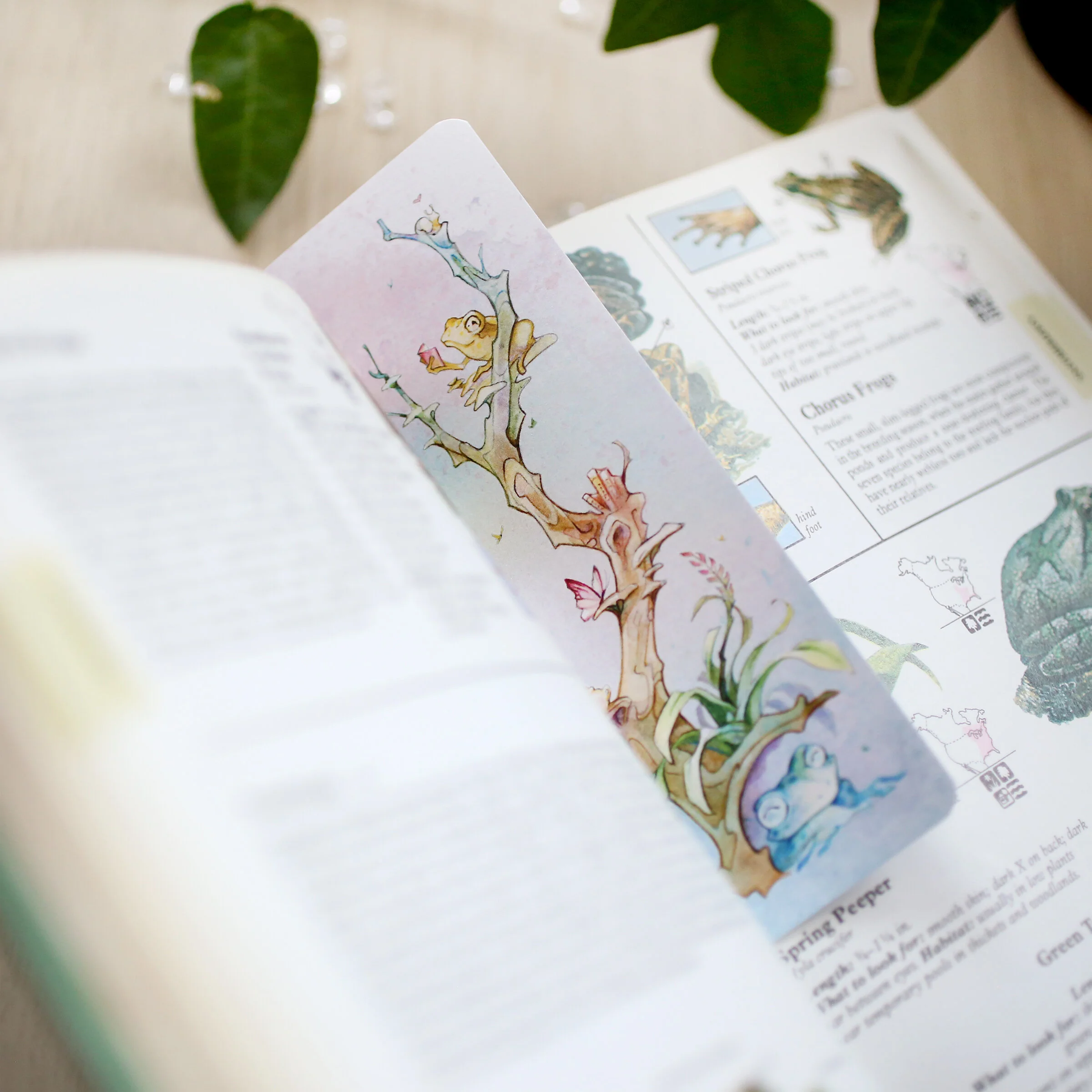 FrogBookmark1.jpg