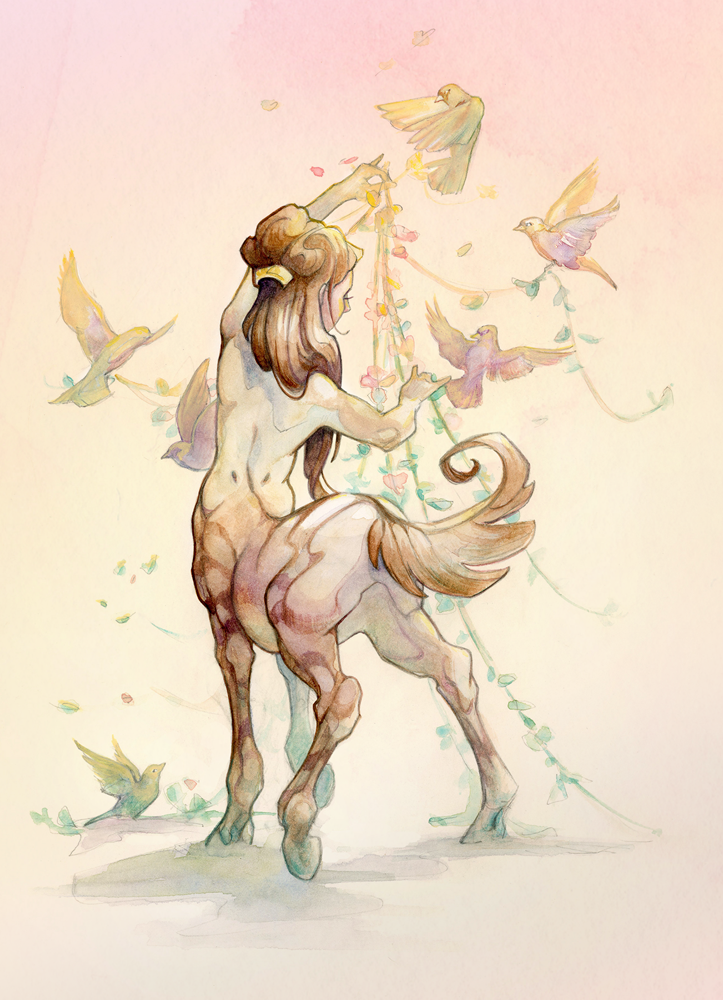 ashereast_centaurette_watercolor.png