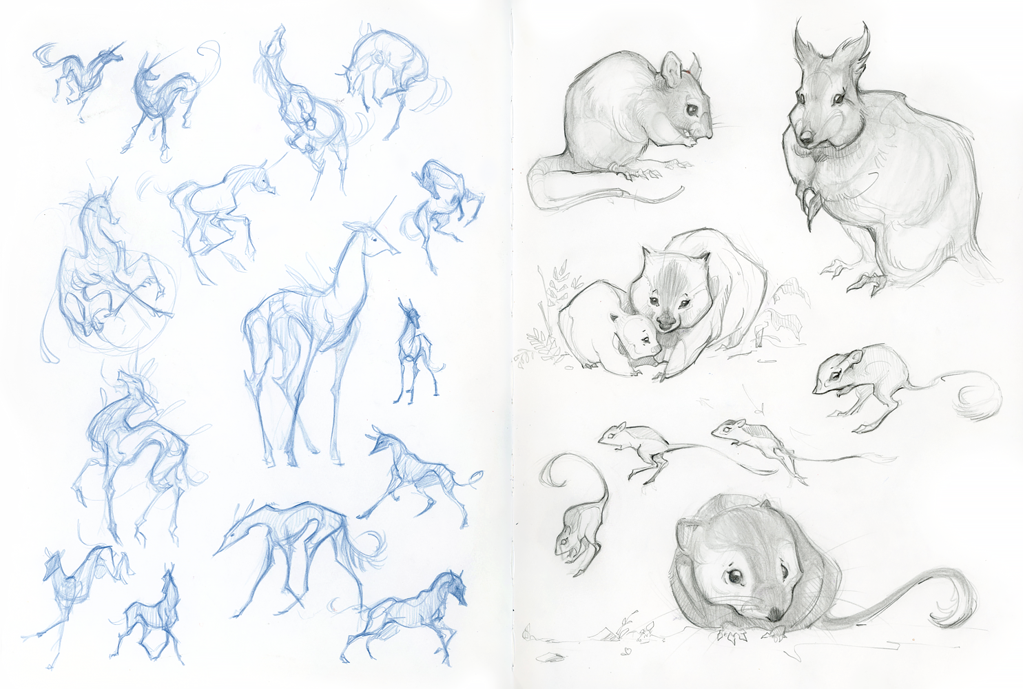 ashereast_sketchbook_critters.png