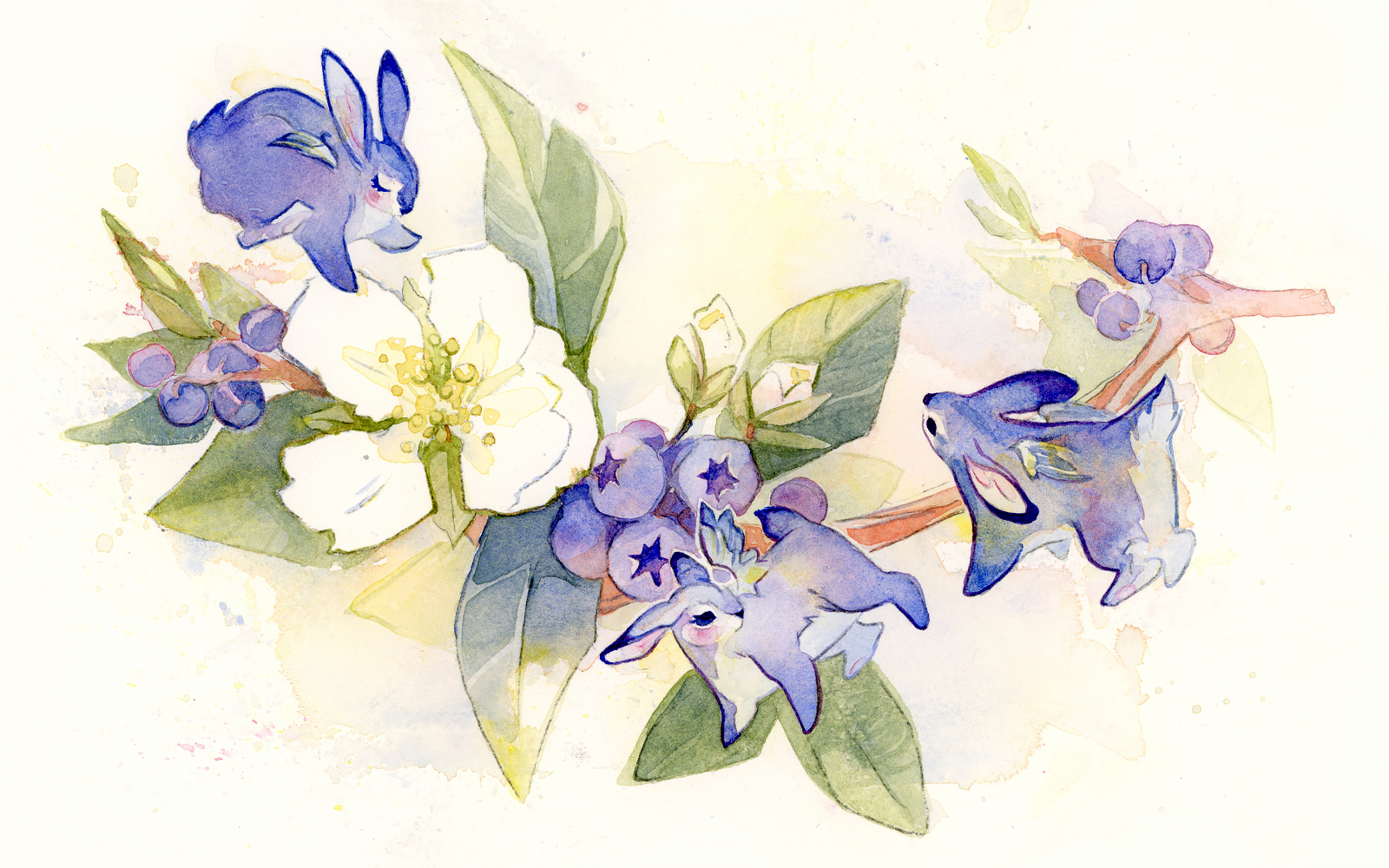 blueberrybunnies.png
