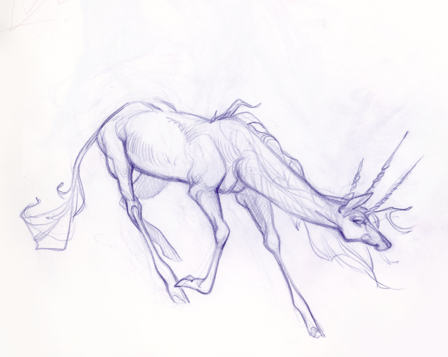 ashereast_sketchbook_tricorn1.png